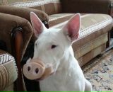 Фотография Емельянова Андрея