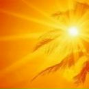 Фотография Мишуры Ольги