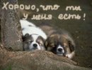 Юлія Рибак фотография #3 (источник - https://vk.com/id43027380)