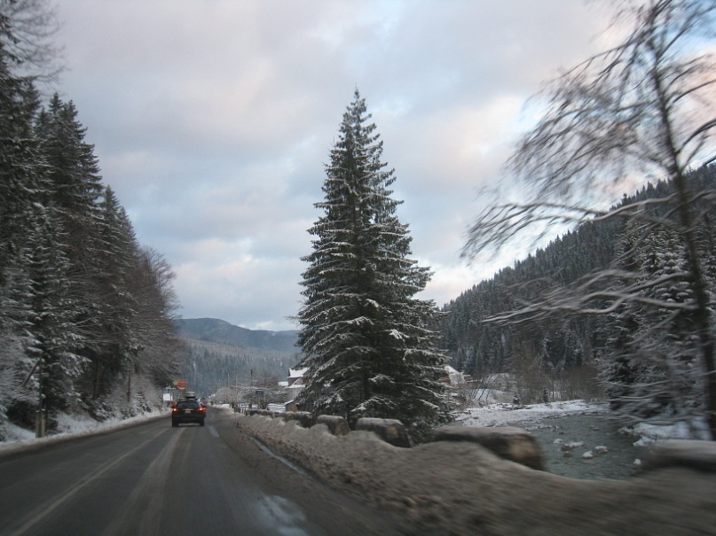 Dima Stecenko фотография #40