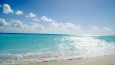 M. C. фотография #38 (источник - https://vk.com/id3058205)