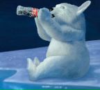 Фотография Медведева Даниила