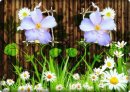Miss Tale фотография #7 (источник - https://vk.com/id7546785)