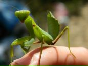 Віктор Копінський фотография #17 (источник - https://vk.com/id10115601)