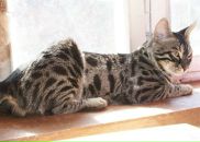 Фотография Antonova Maria