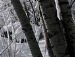 Іван Батяла фотография #49 (источник - https://vk.com/id131928285)
