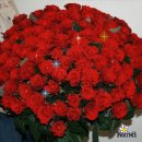 Ілона Шевчук фотография #39 (источник - https://vk.com/id37347422)