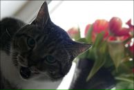 Фотография Успенской Марии