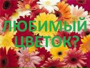 Сніжусік Поповська фотография #10 (источник - https://vk.com/id92087490)