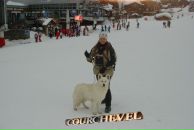 Фотография Ковалёвой Елены