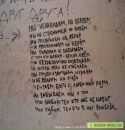 Василинка Кулиній фотография #38 (источник - https://vk.com/id155599853)