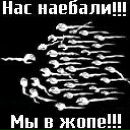 Ігор Токар фотография #3 (источник - https://vk.com/id133440577)