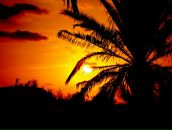 Valya Electra фотография #35 (источник - https://vk.com/id6094904)