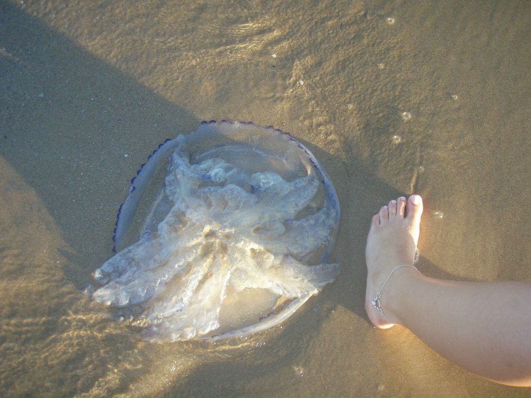 Маша Анищенко фотография #21