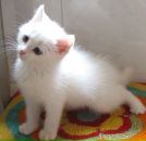 Фотография Гриневицкой Аллы