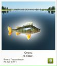Андрій Бабінчук фотография #3 (источник - https://vk.com/id63258728)