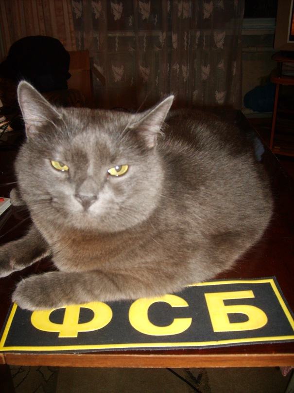 Данила Плотников фотография #43