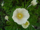 Ірина Бойко фотография #11 (источник - https://vk.com/id17100598)