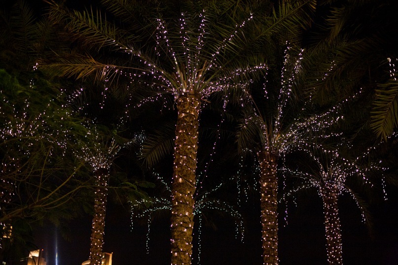 Сергей Макеев фотография #18