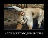 Андрій Лемішевський фотография #9 (источник - https://vk.com/id65081887)