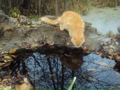 Фотография Пашутиной Анны