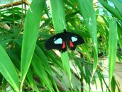 Фотография Кудяковой Ирочки