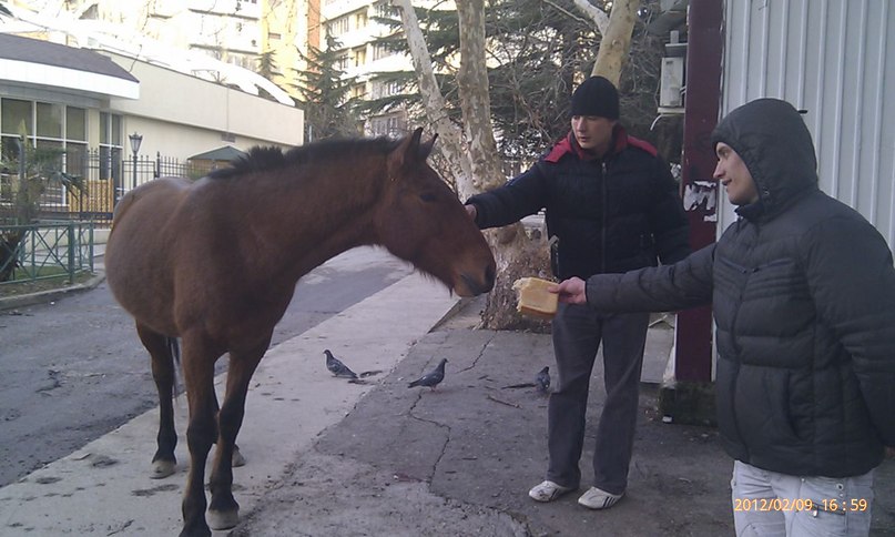 Дмитрий Онищенко фотография #37