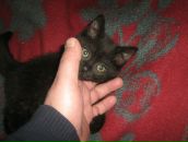 Виктор Трусов фотография #5 (источник - https://vk.com/id2997308)