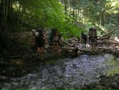 Діана Башта фотография #44 (источник - https://vk.com/id89361436)