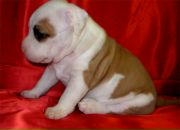 Фотография Потаповой Ларисы