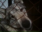 Юра Пічего фотография #28 (источник - https://vk.com/id55795088)