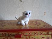 Фотография Штрассер Веры