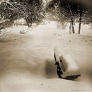 Юрій Ковальський фотография #46 (источник - https://vk.com/id132603403)