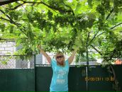 Фотография Михальской Анастасии