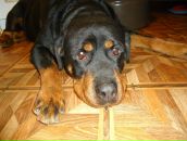 Марія Мацигін фотография #25 (источник - https://vk.com/id167754536)