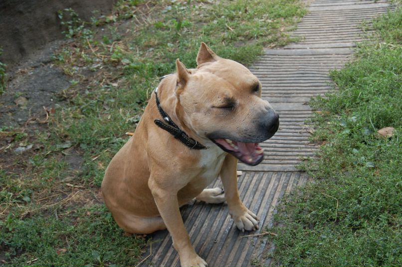 Виктор Руденко фотография #44