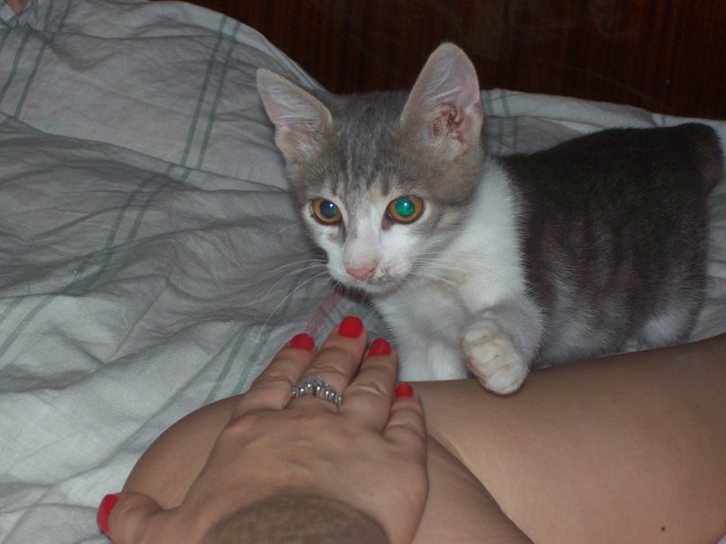 Александра Ищенко фотография #38