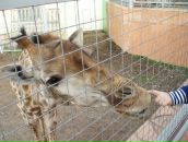 Фотография Федоровой Татьяны