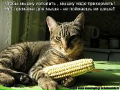 Фотография Тюгай Веры