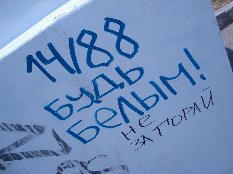 Дмитрий Шейнов фото №32