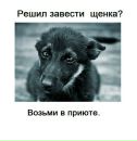 Фотография Егиян Ольги