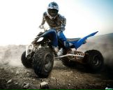 Фотография Мамонтова Юры