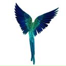 Фотография Казиева Данилы