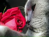 Фотография Есеновского Сергея