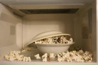 Фотография Горшунова Станислава