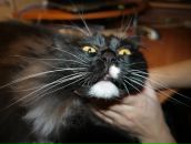 Фотография Валеевой Катерины