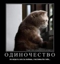 Игорь Васильев фотография #31 (источник - https://vk.com/id2295620)