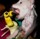 Фотография Slim Вани