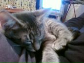 Фотография Фетисова Павла