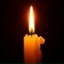 Фотография Александрова Максима